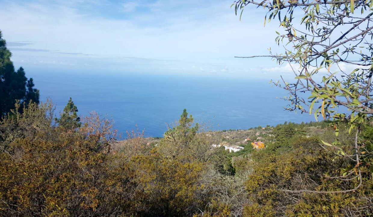 20150930_103211