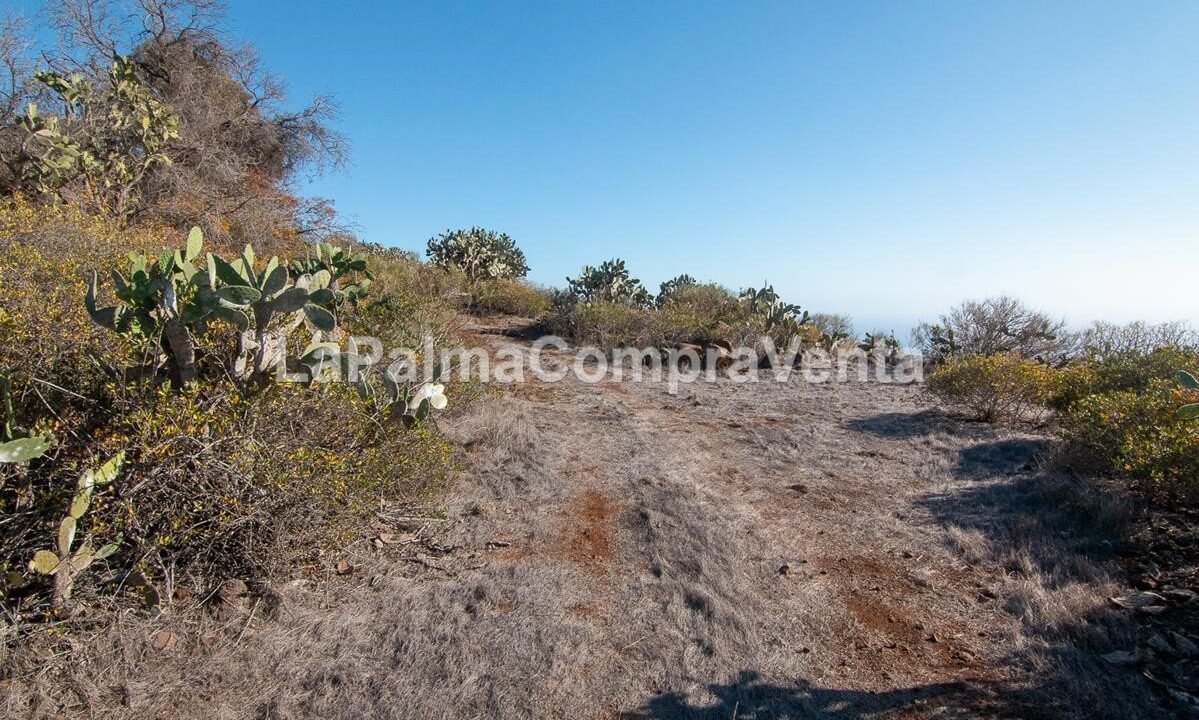 _MG_4488