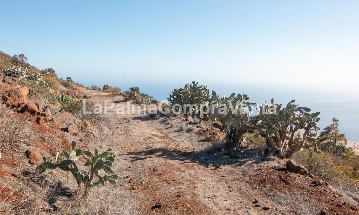 _MG_4493