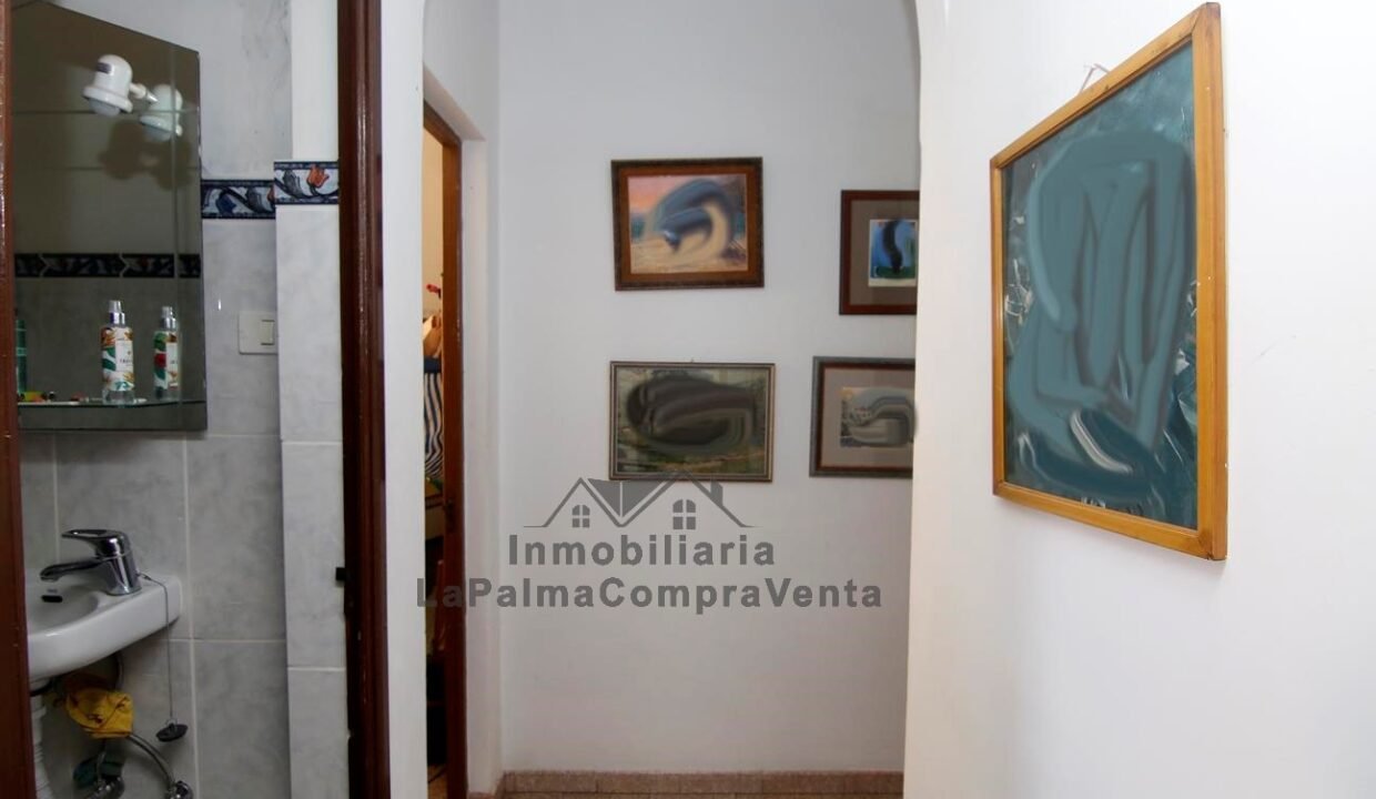 _MG_8538_1296x864