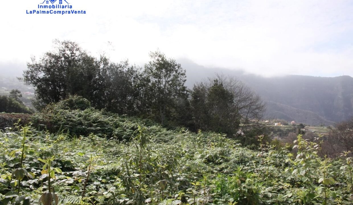 IMG_2520_1296x864