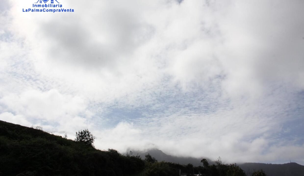 IMG_2528_1296x864