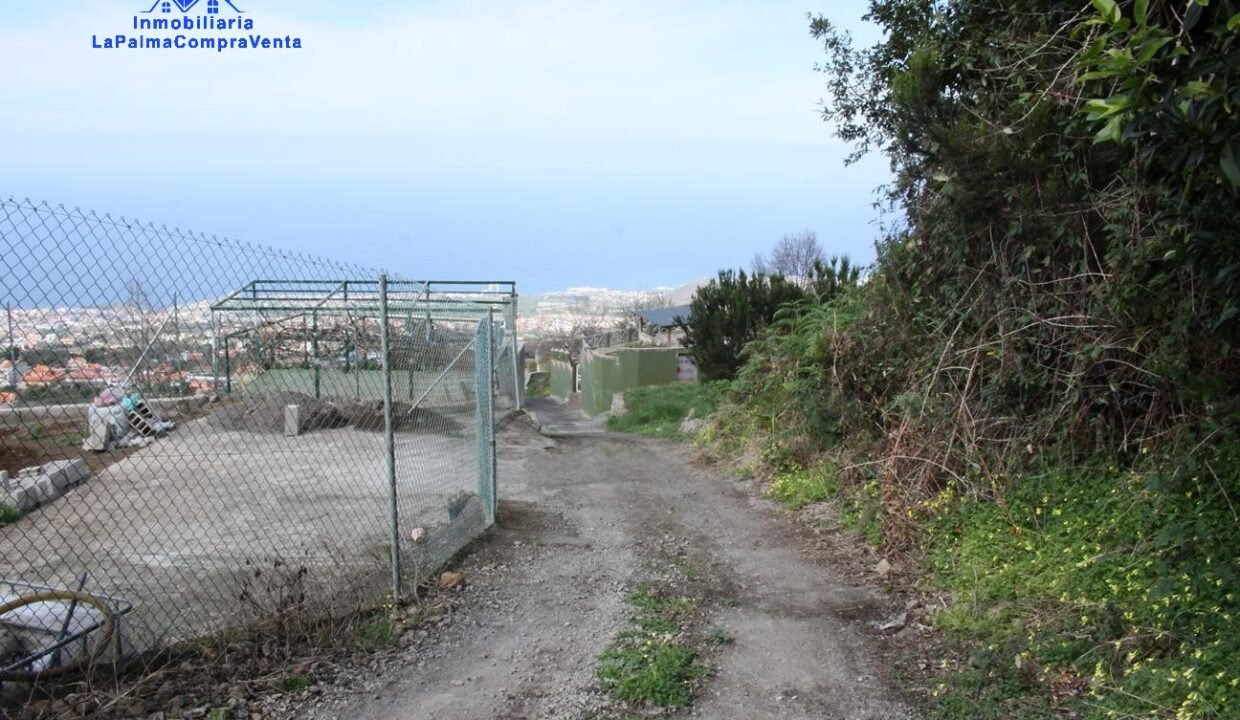 IMG_CaminoDeAcceso_1296x864