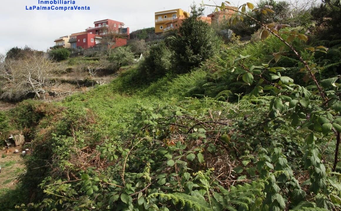 IMG_LinderoArriba2_1160x864