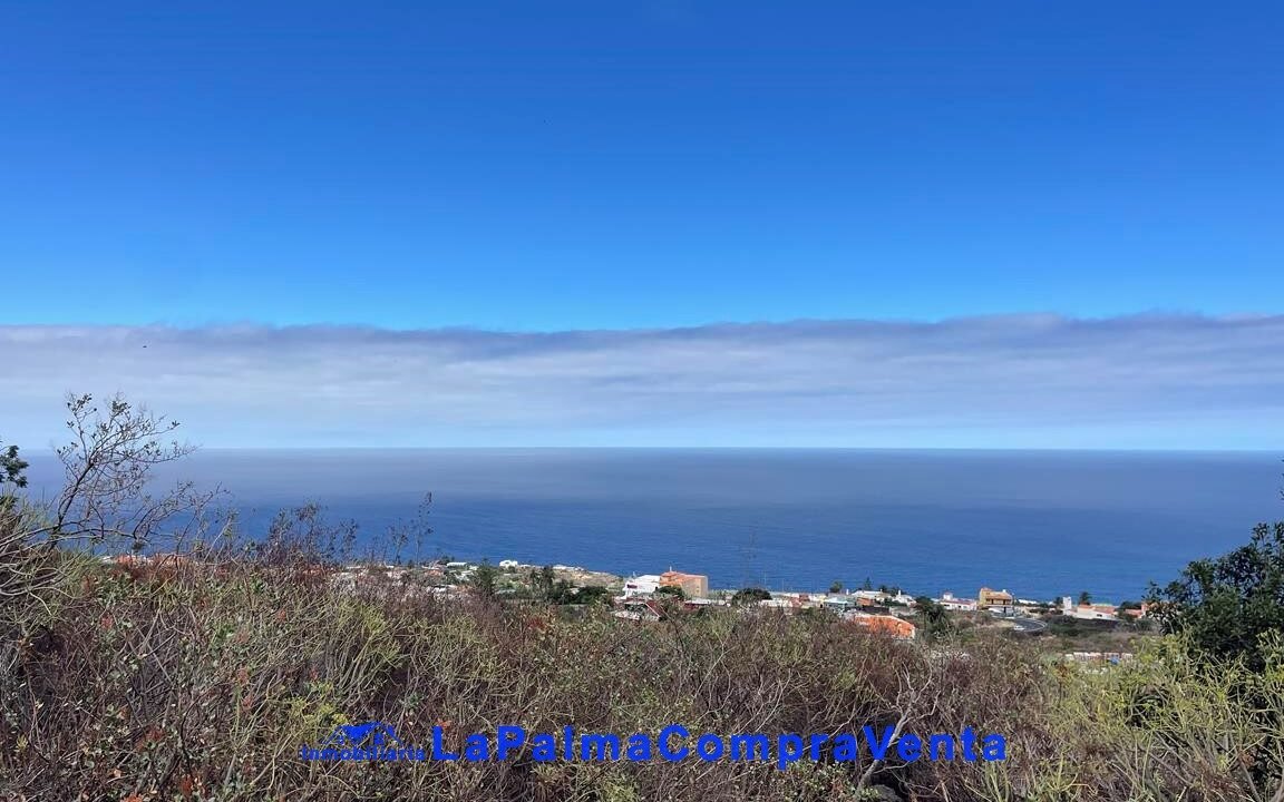IMG_1695_1152x864