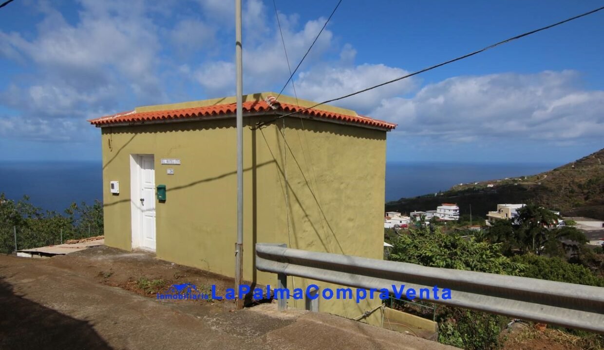 IMG_9223_1296x864