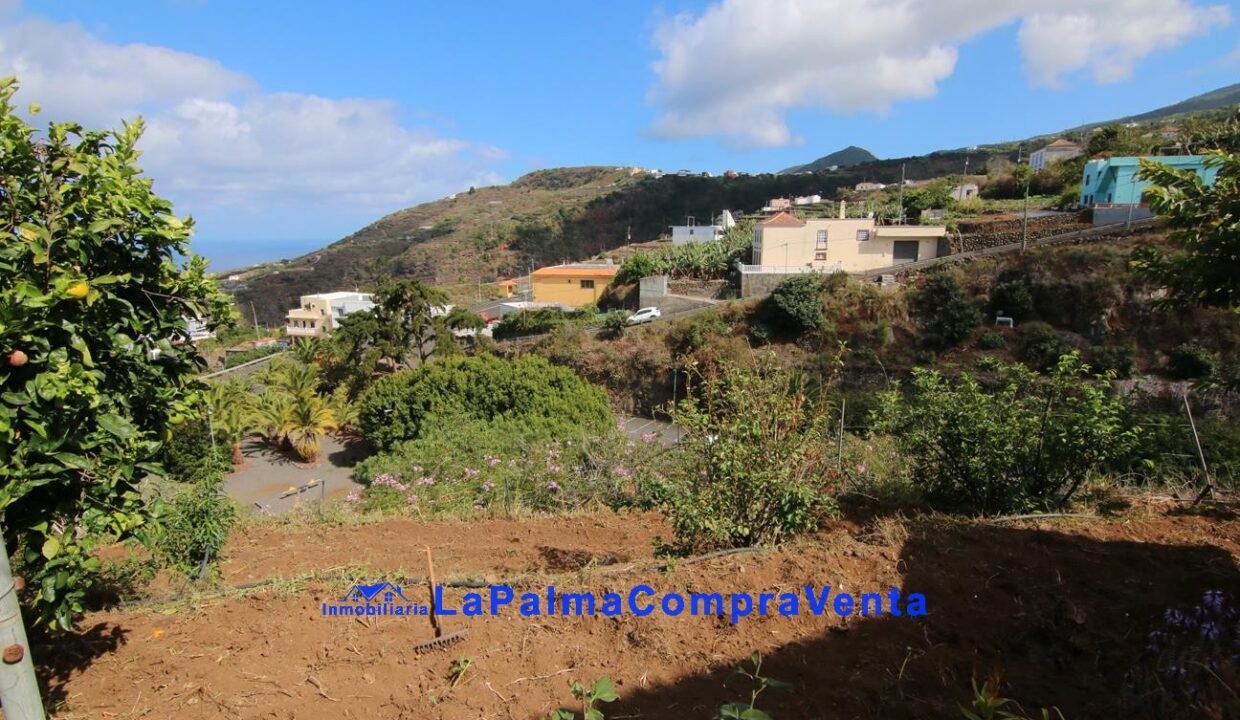 IMG_9231_1296x864