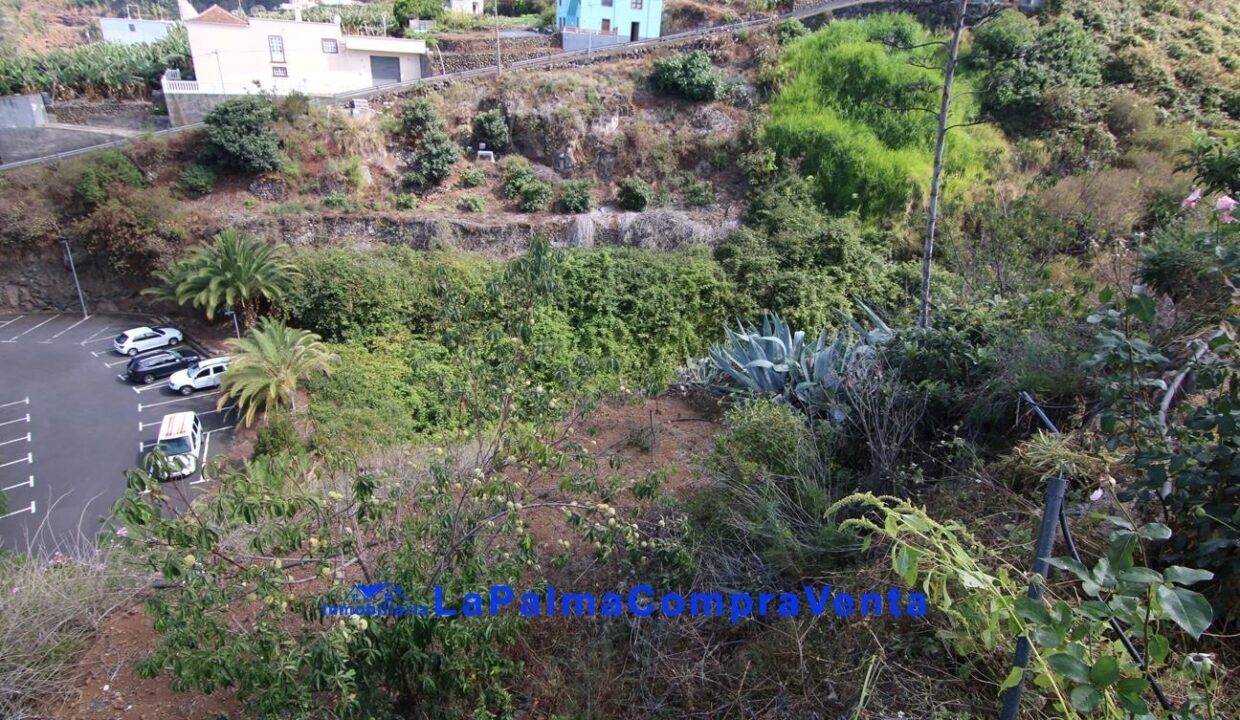 IMG_9233_1296x864