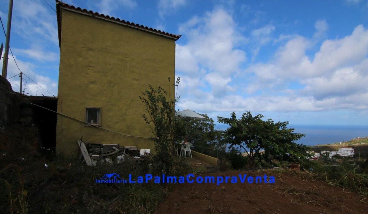 IMG_9236_1296x864