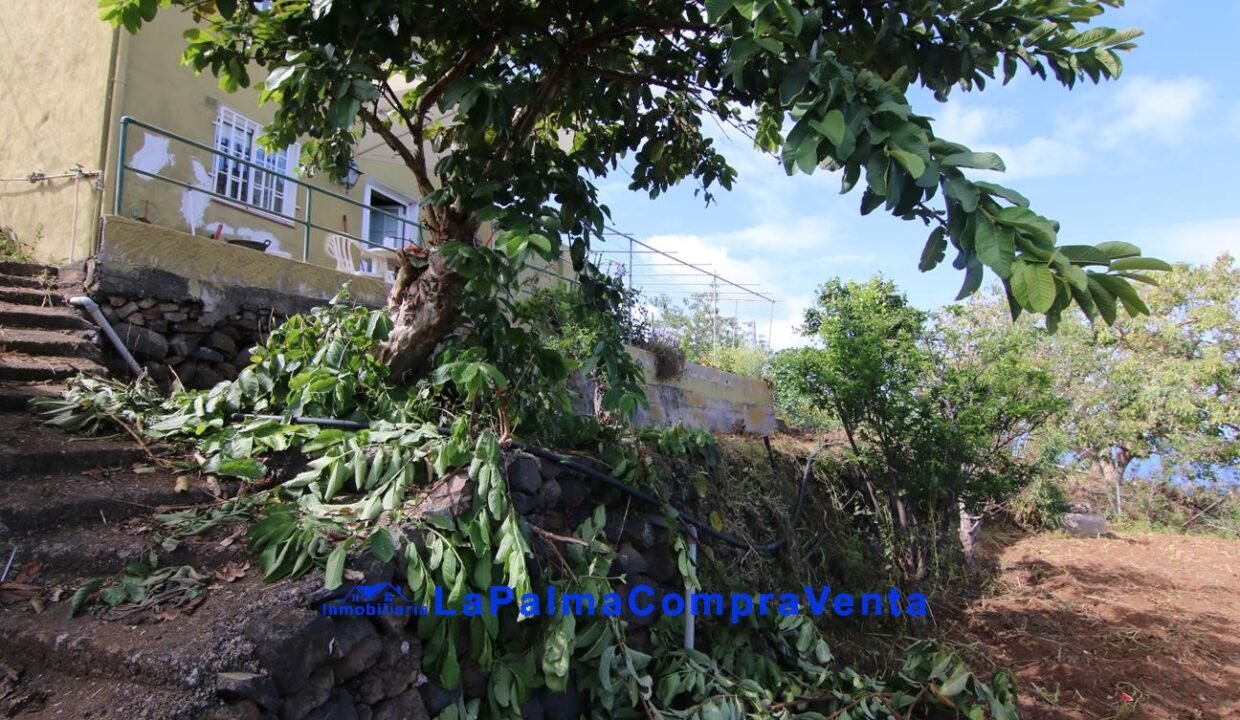 IMG_9237_1296x864