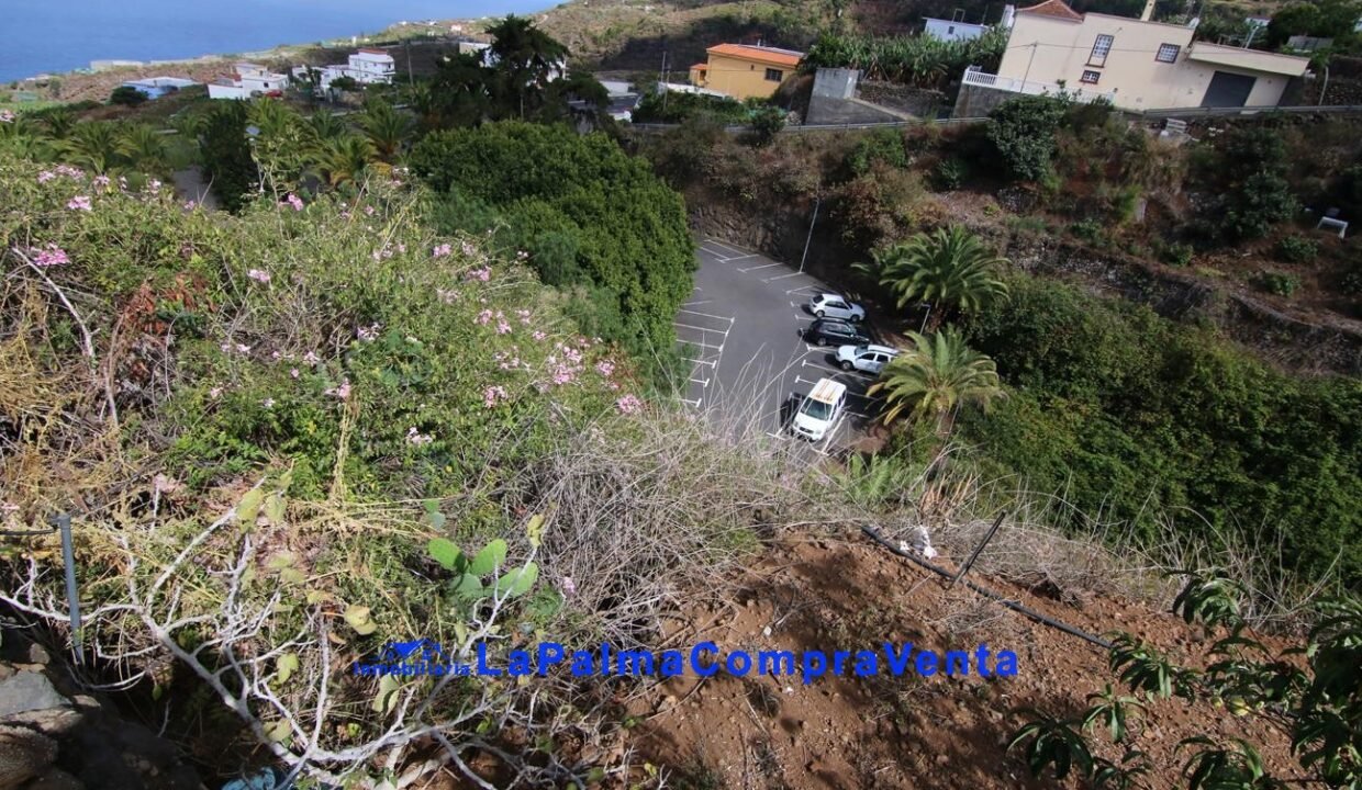 IMG_9241_1296x864