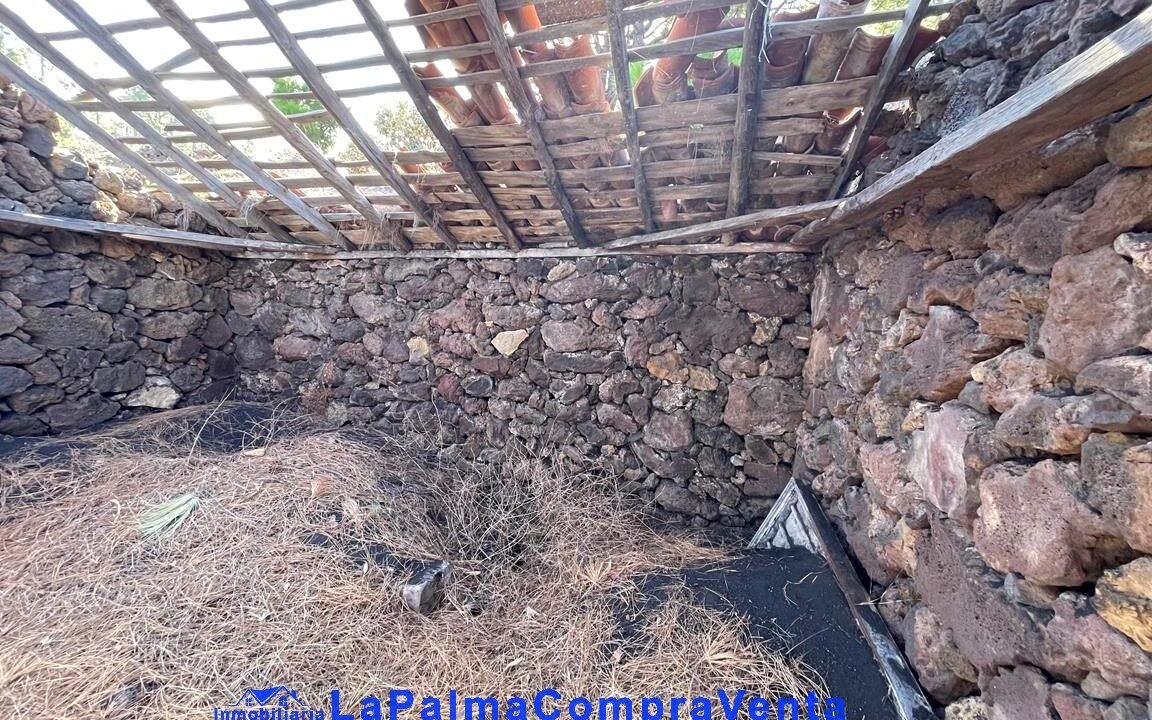 IMG_2891_1152x864