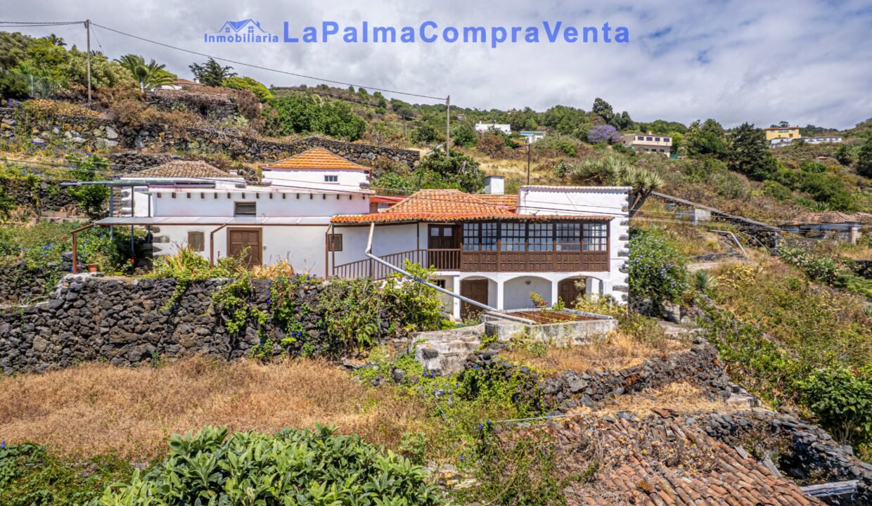 DJI_0203-HDR copia