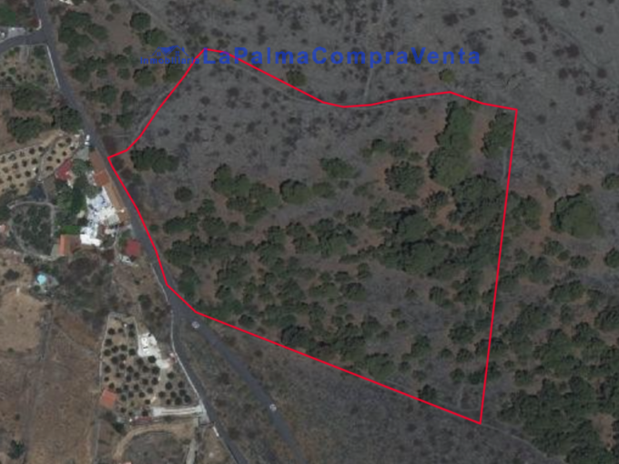 ID-649 Terreno con muchos metros para el cultivo de árboles frutales