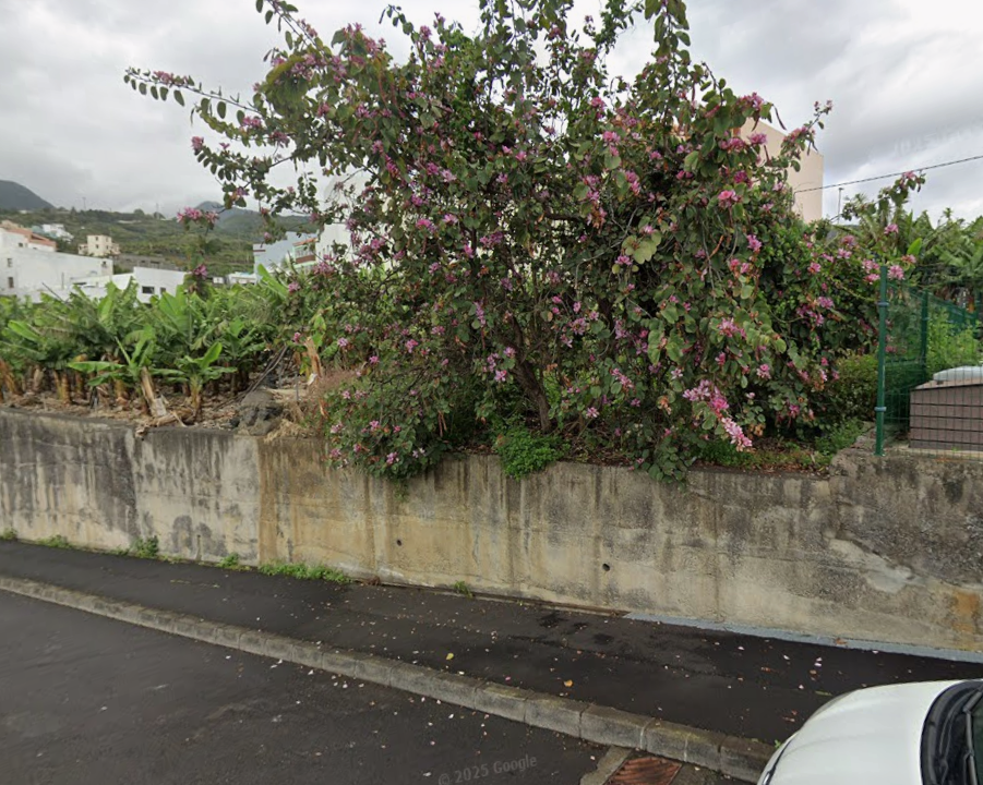 Opera Instantánea_2025-12-13_121409_www.google.com