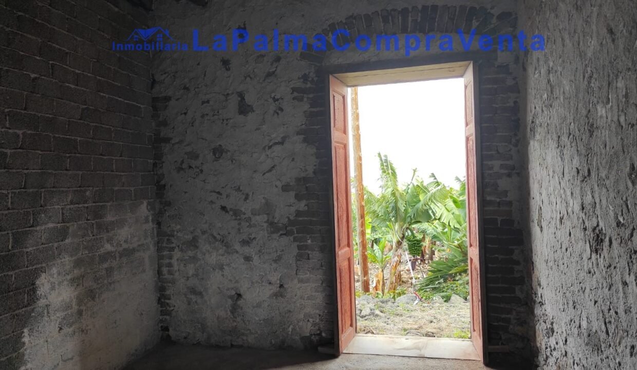 3ce258f2-828a-4daa-90e1-c20738d7dc72