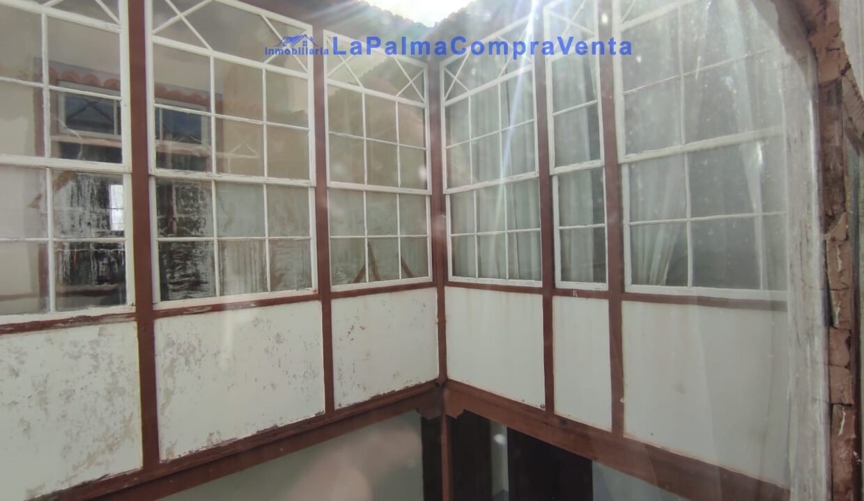 WhatsApp Image 2026-02-13 at 12.20.09