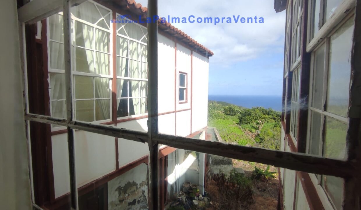 WhatsApp Image 2026-02-13 at 12.20.09 (2)