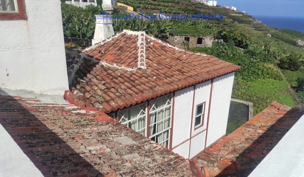 WhatsApp Image 2026-02-13 at 12.20.10 (1)