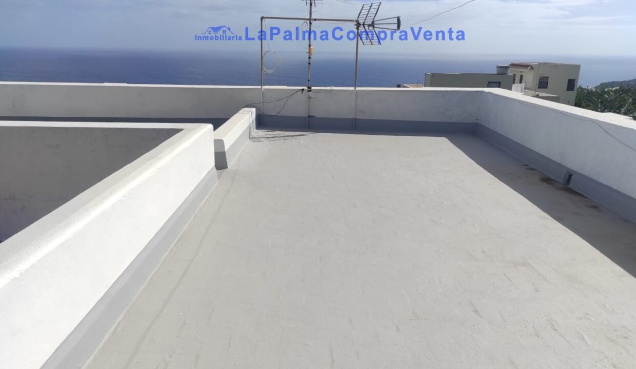 WhatsApp Image 2026-02-13 at 12.20.10 (2)