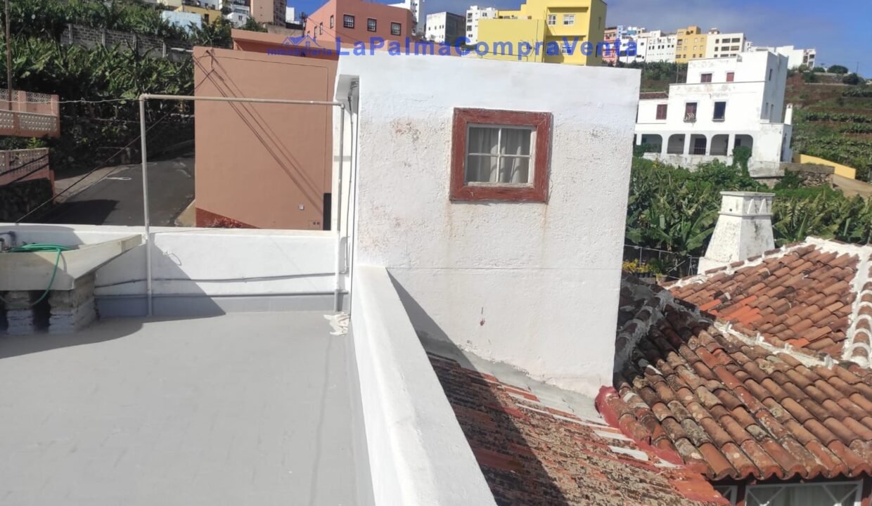 WhatsApp Image 2026-02-13 at 12.20.11