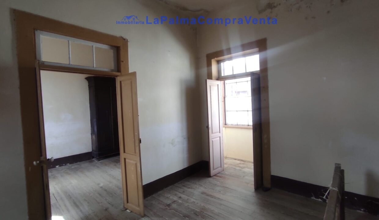 WhatsApp Image 2026-02-13 at 12.20.12