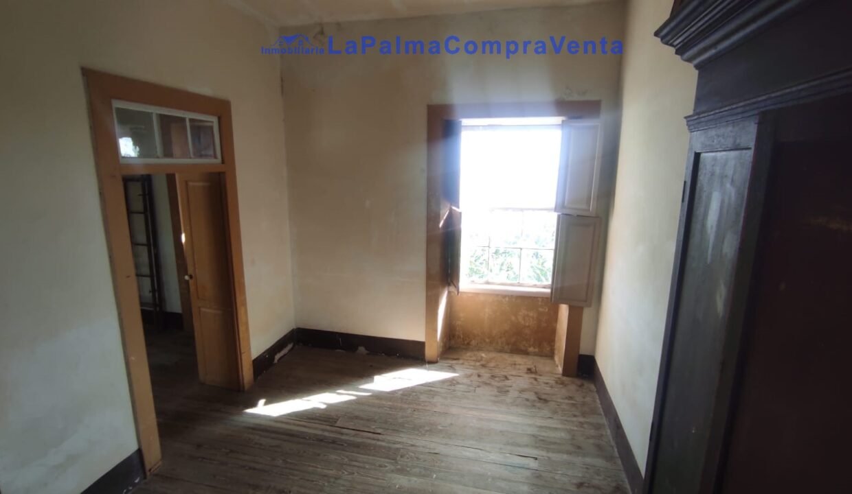 WhatsApp Image 2026-02-13 at 12.20.14 (2)