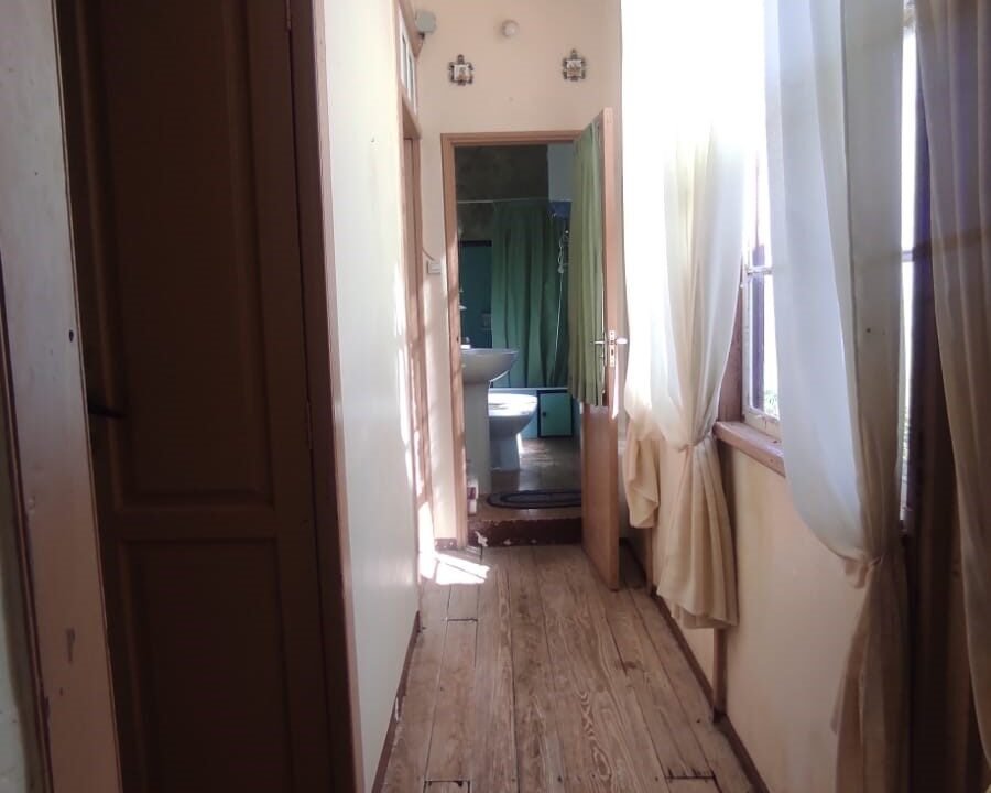 WhatsApp Image 2026-02-13 at 12.20.14