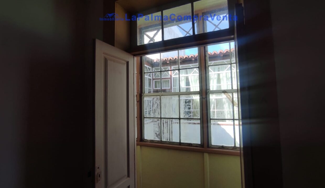 WhatsApp Image 2026-02-13 at 12.20.15 (1)