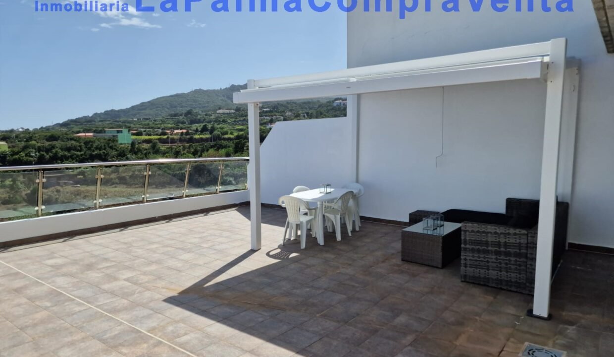 WhatsApp Image 2026-03-10 at 20.55.51 (1)