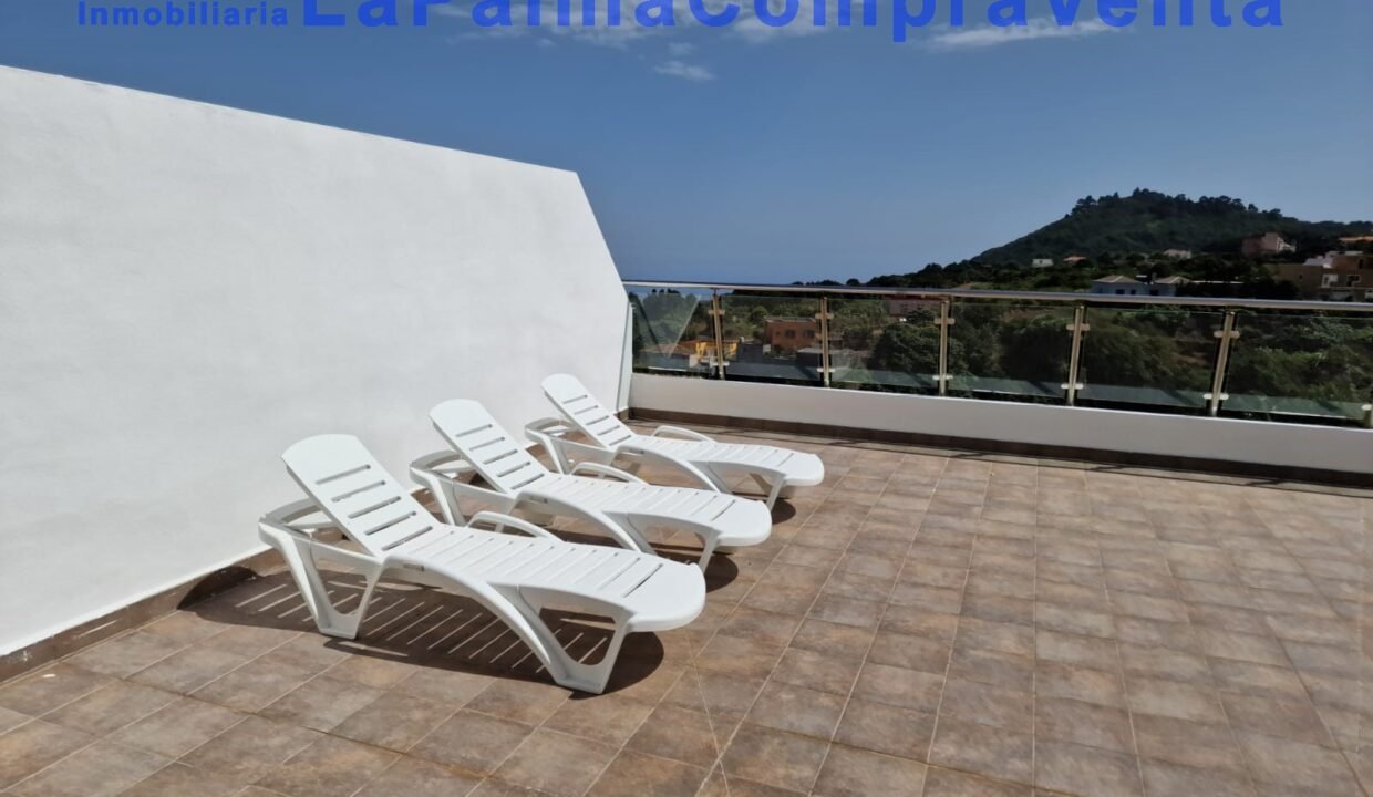 WhatsApp Image 2026-03-10 at 20.55.51 (8)